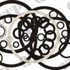 Σετ λάστιχα αντλίας υδραυλικού Ford 2000, 3000, 3600, 4110 - Image 2