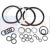 Σετ O-RING (λαστιχάκια) Ford