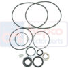 Σετ O-RING (λαστιχάκια) αντλίας υδραυλικού Ford